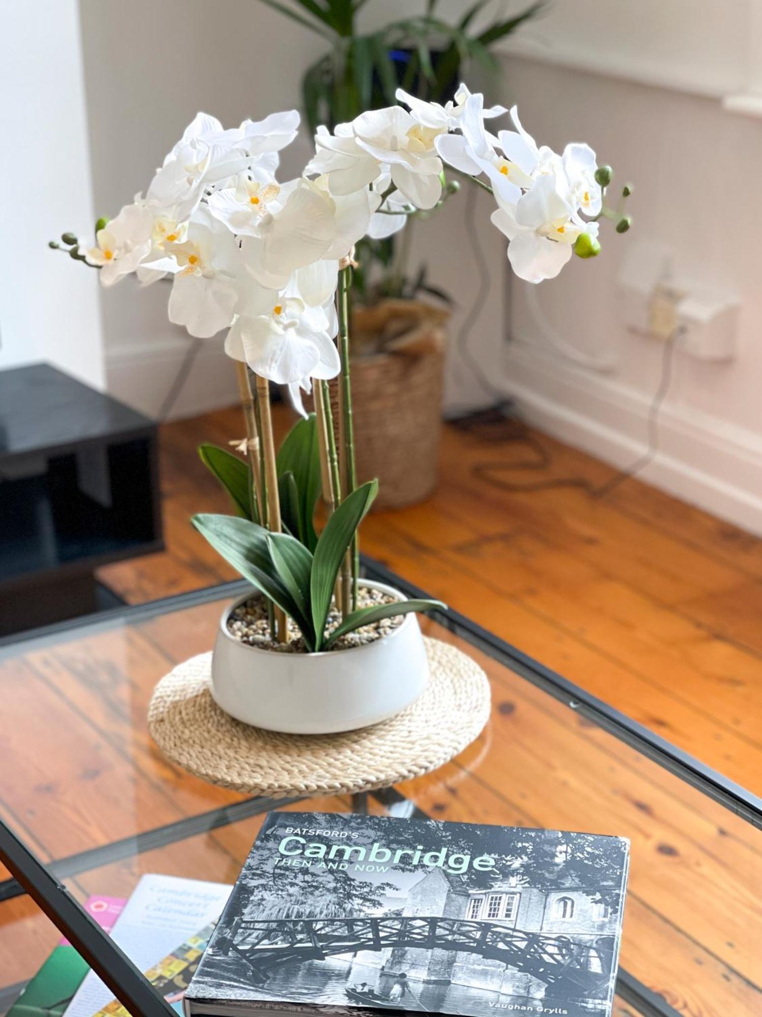 Fantastic Victorian House, Excellent City Location - Cambridge Homehost エクステリア 写真